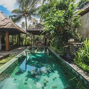 Luwak Ubud (Bali)
